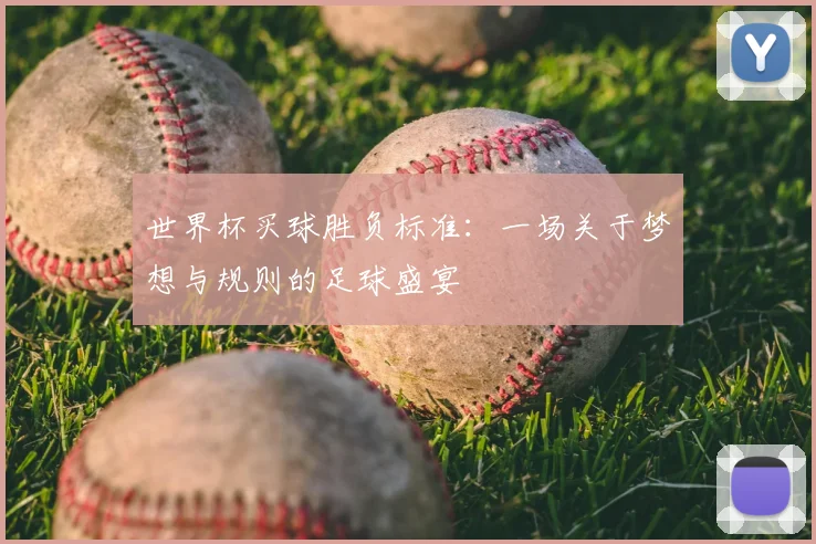 世界杯买球胜负标准:一场关于梦想与规则的足球盛宴