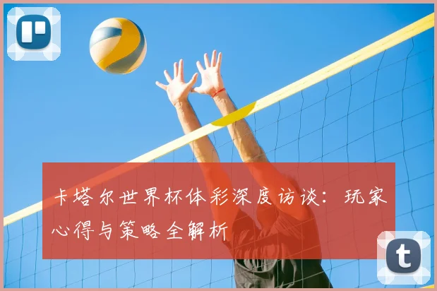 卡塔尔世界杯体彩深度访谈：玩家心得与策略全解析