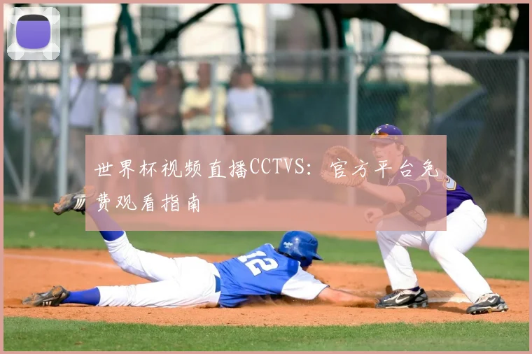 世界杯视频直播CCTVS：官方平台免费观看指南