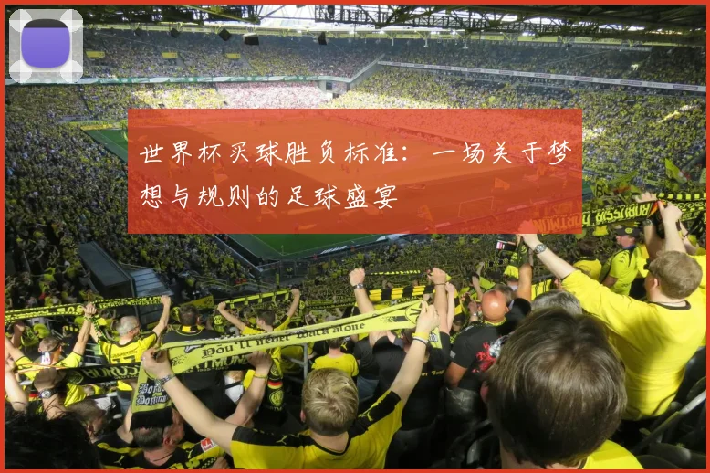 世界杯买球胜负标准:一场关于梦想与规则的足球盛宴