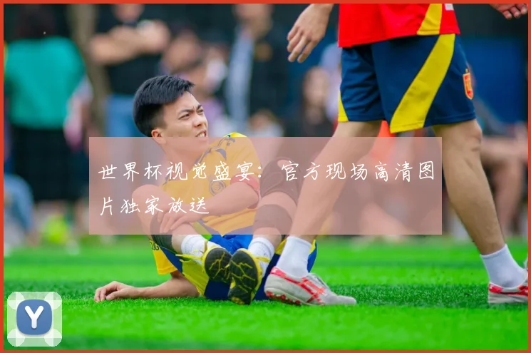 世界杯视觉盛宴：官方现场高清图片独家放送