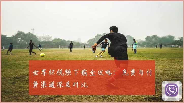 世界杯视频下载全攻略：免费与付费渠道深度对比