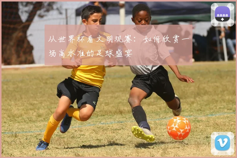 从世界杯看文明观赛：如何欣赏一场高水准的足球盛宴