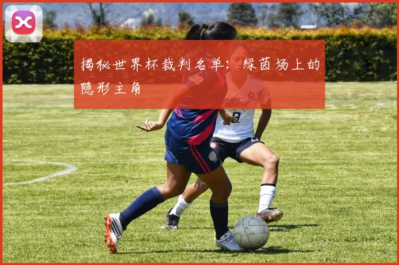 揭秘世界杯裁判名单：绿茵场上的隐形主角