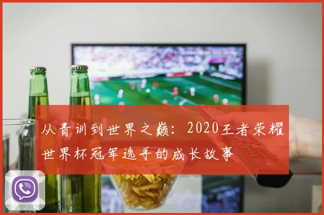 从青训到世界之巅：2020王者荣耀世界杯冠军选手的成长故事