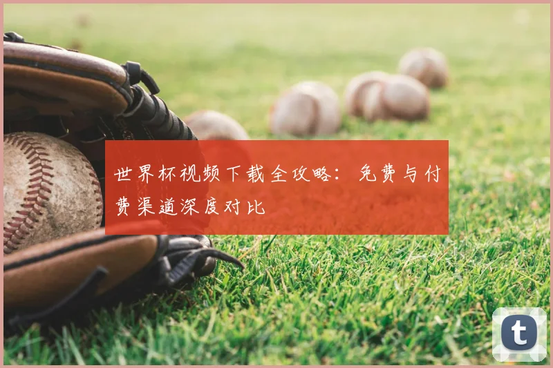世界杯视频下载全攻略：免费与付费渠道深度对比