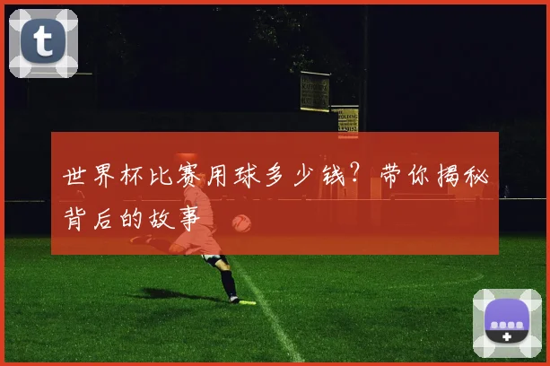 世界杯比赛用球多少钱？带你揭秘背后的故事