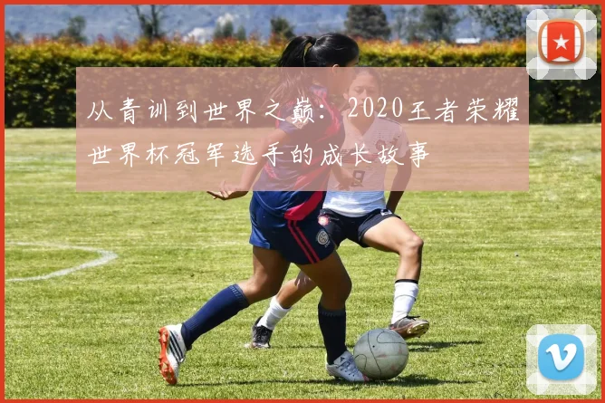 从青训到世界之巅：2020王者荣耀世界杯冠军选手的成长故事