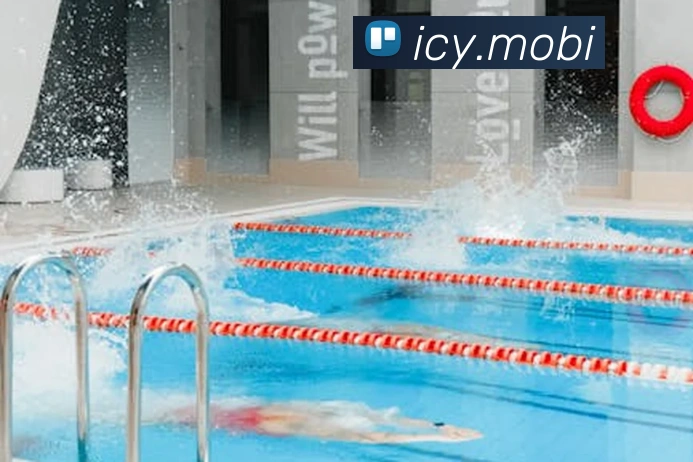 开云手机官方登录服务体系